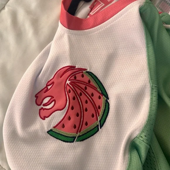 Watermelon Seven Lions Hockey Jersey - Picture 3 of 3
